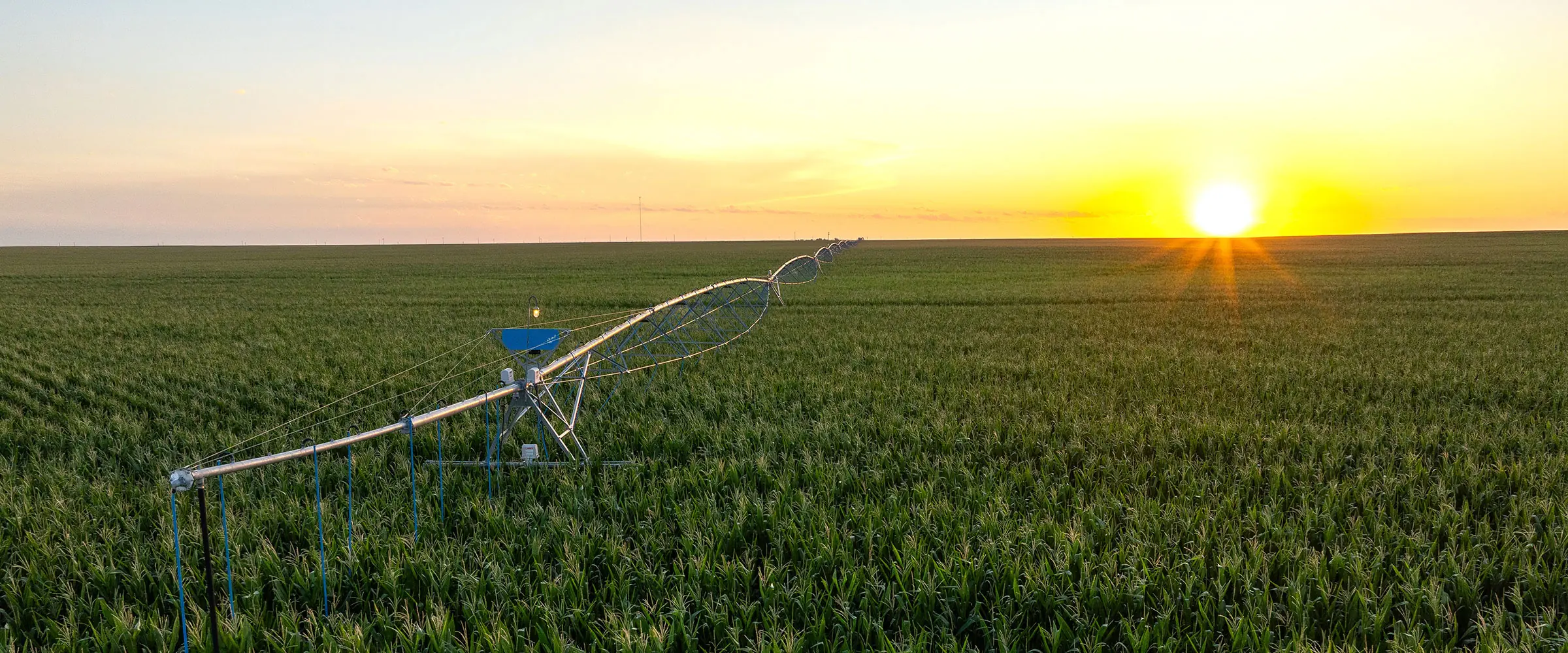 Row-crop farmland under an open sky