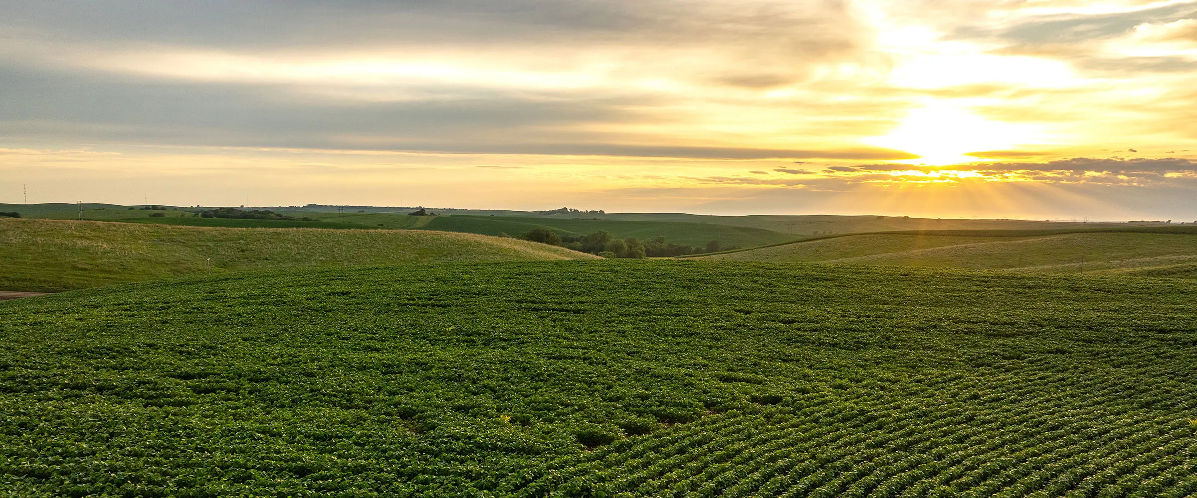 Farmland